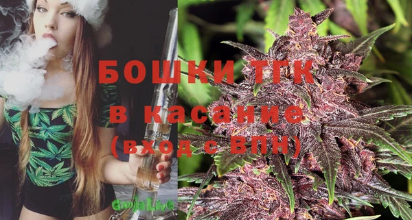 mix Богородск