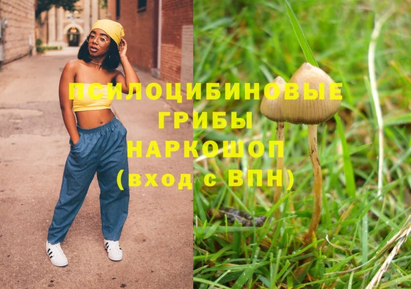 героин Богданович
